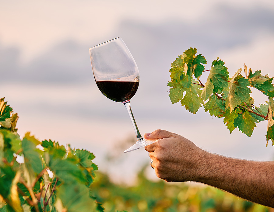 Rhodes island Gic 2026